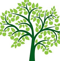 Ancestry DNA Tests