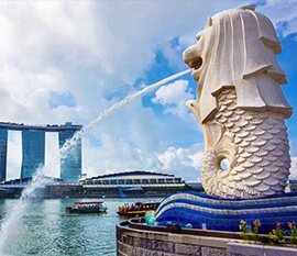 DNA Test for Singapore Immigration