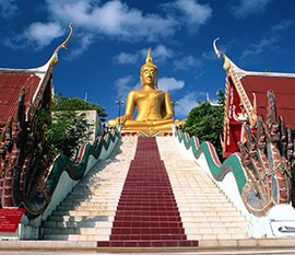 DNA Test for Thailand Immigration