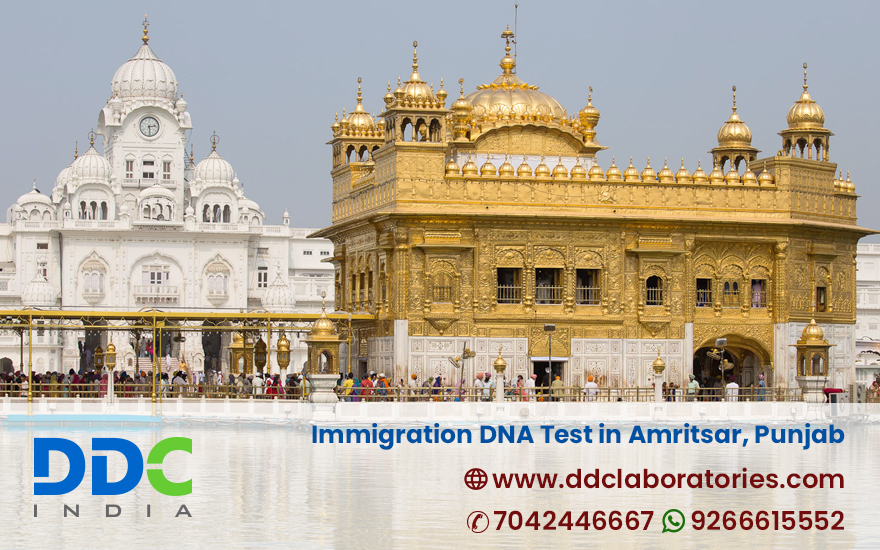 Immigration DNA Test in Amritsar