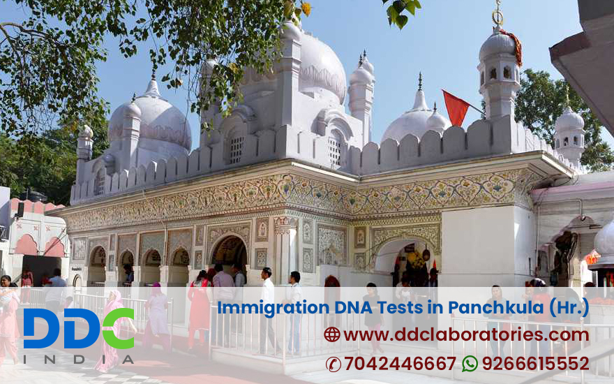 Immigration DNA Tests in Panchkula