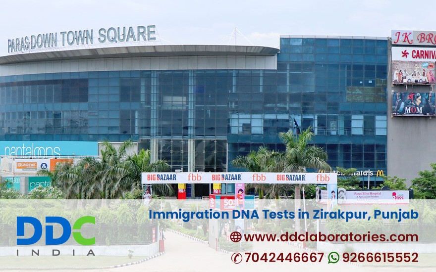 Immigration DNA Tests in Zirakpur