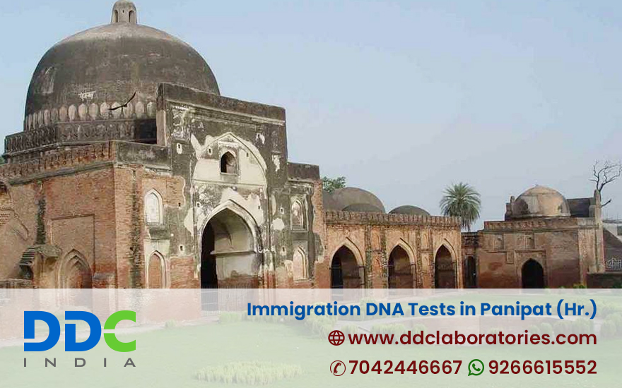 Immigration Dna Tests In Panipat