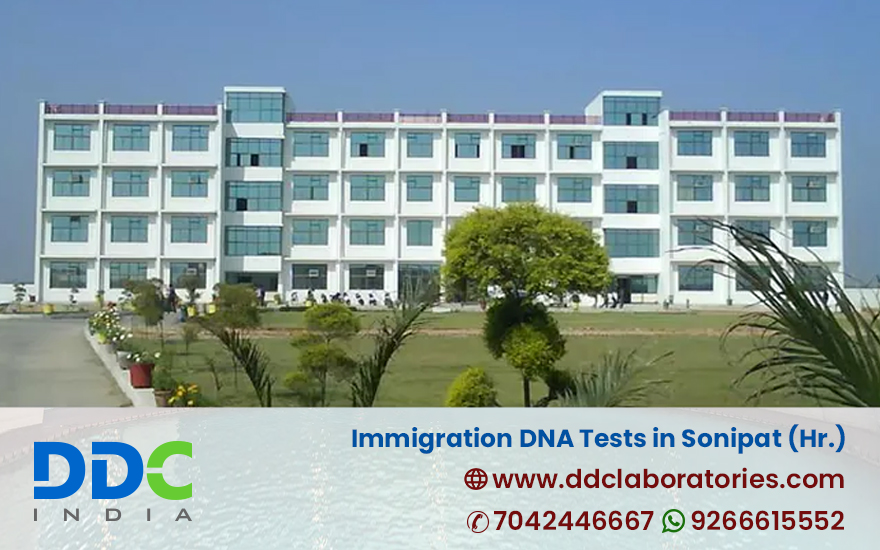 Immigration Dna Tests In Sonipat