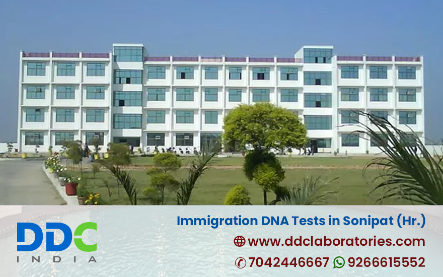 Immigration DNA Tests In Sonipat