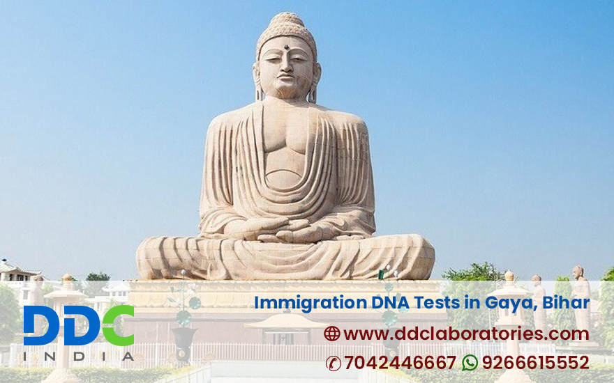 Immigration DNA Test in Gaya