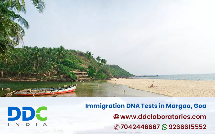 Immigration DNA Tests in Margao