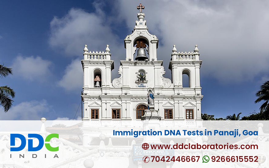 Immigration DNA Tests in Panaji