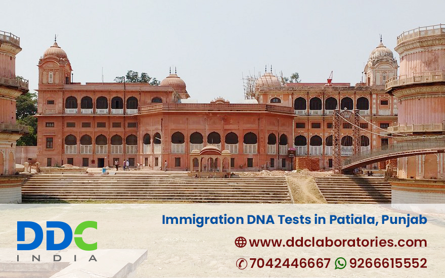 Immigration DNA Tests in Patiala