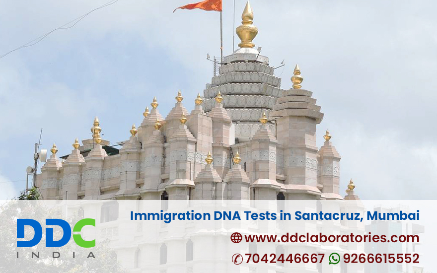 Immigration DNA Tests in Santacruz