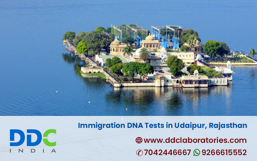  Immigration DNA Tests in Udaipur