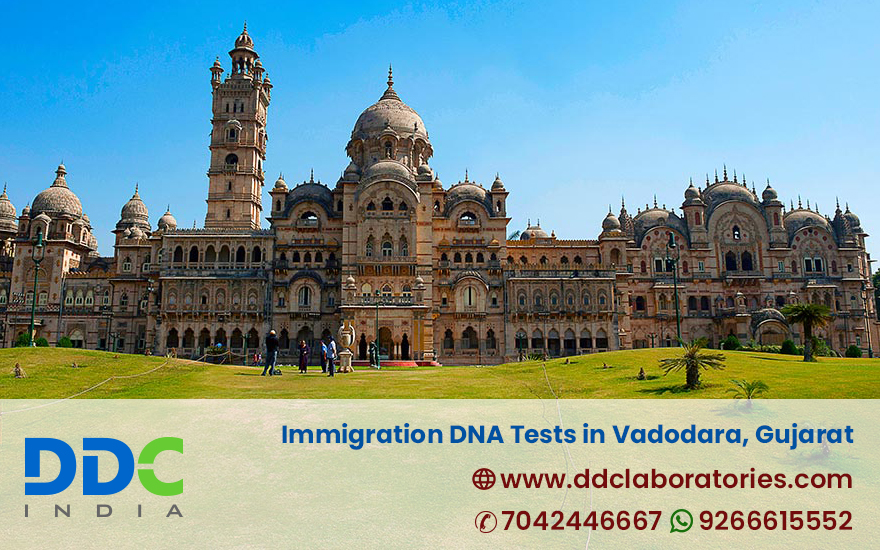 Immigration DNA Tests in Vadodara