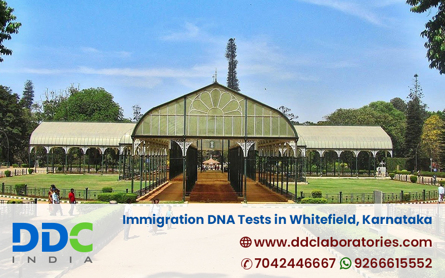 Immigration DNA Tests in Whitefield