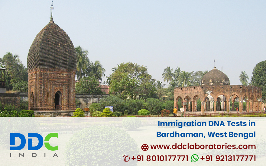 Immigration DNA Tests in Bardhaman West Bengal