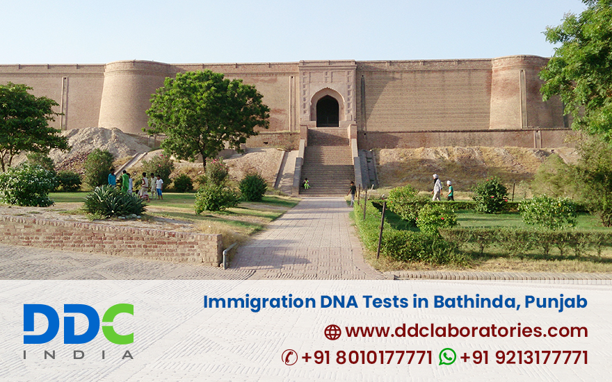 Immigration DNA Tests in Bathinda Punjab