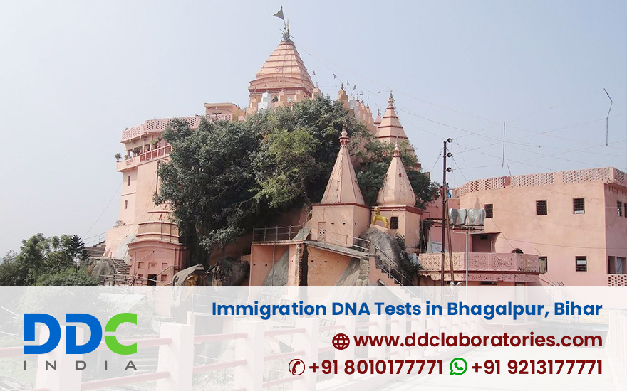 Immigration DNA Tests in Bhagalpur Bihar