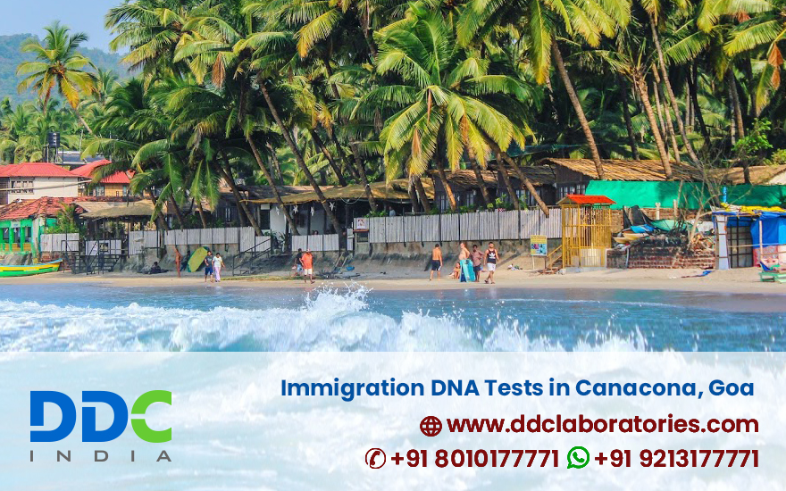Immigration DNA Tests in Canacona Goa