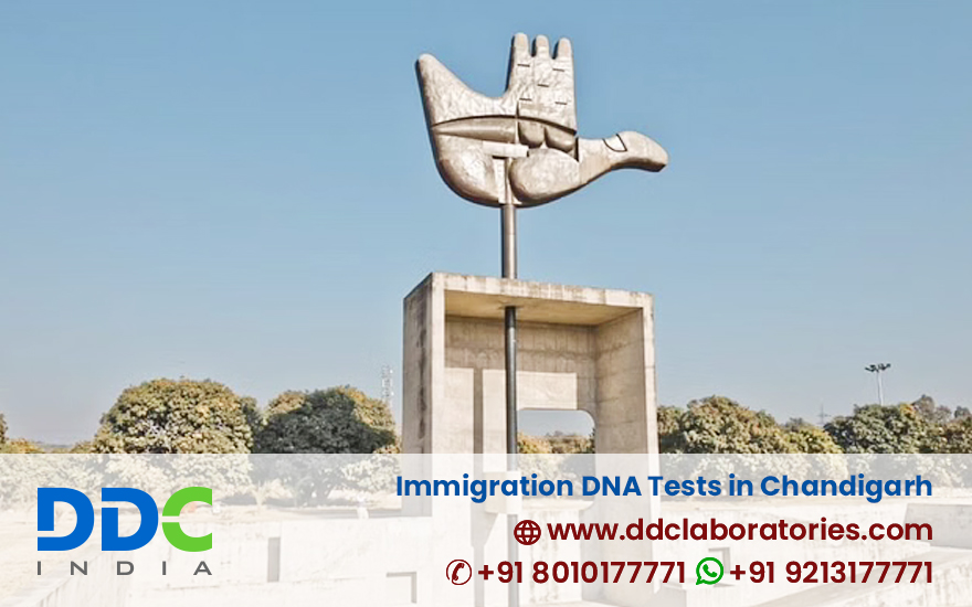 Immigration DNA Tests in Chandigarh