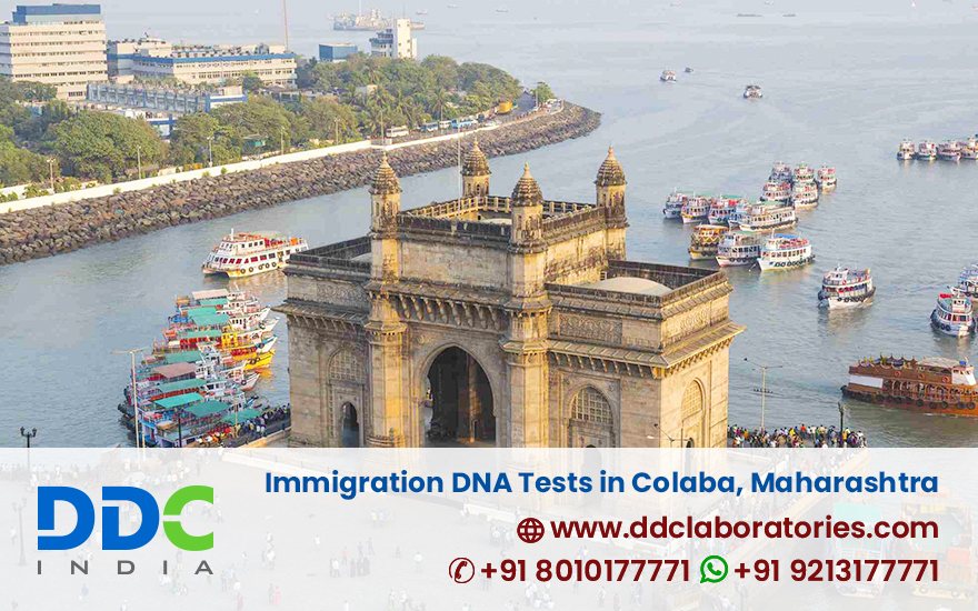 Immigration DNA Tests in Colaba Maharashtra