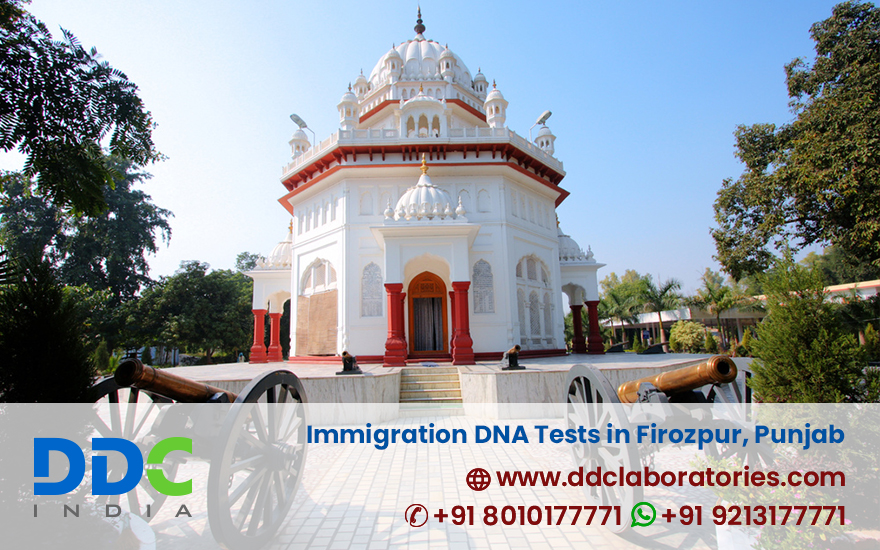 Immigration DNA Tests in Firozpur Punjab