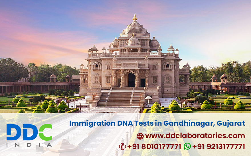 Immigration DNA Tests in Gandhinagar Gujarat