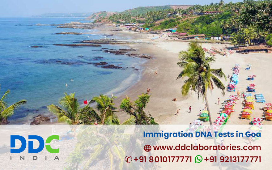 Immigration DNA Tests in Goa