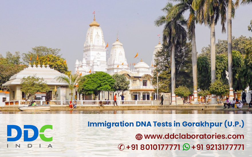 Immigration DNA Tests in Gorakhpur Uttar Pradesh