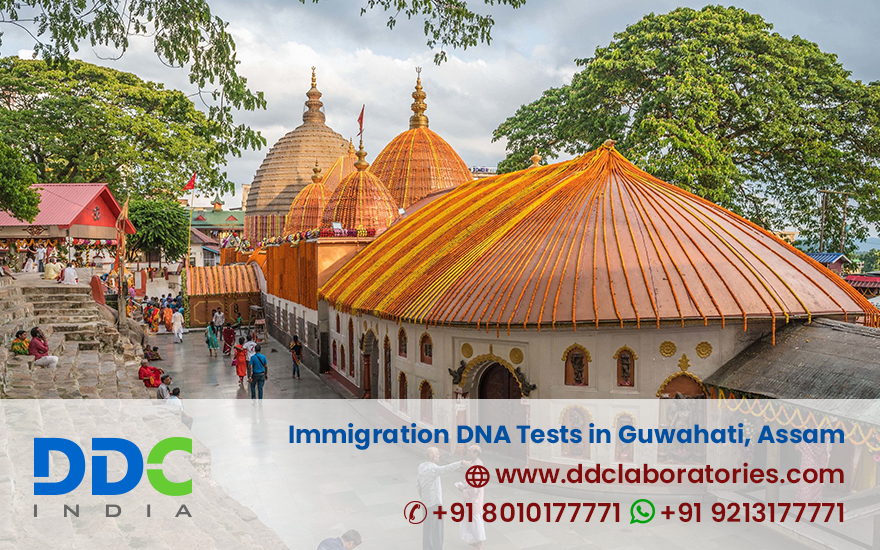 Immigration DNA Tests in Guwahati Assam