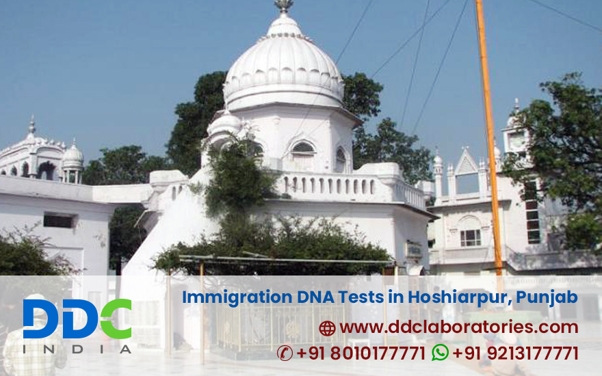 Immigration DNA Tests in Hoshiarpur Punjab
