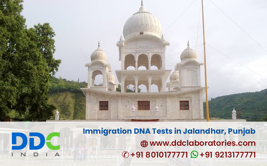 Immigration DNA Tests in Jalandhar Punjab