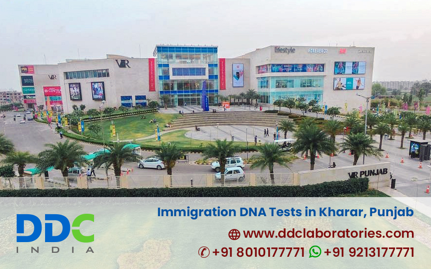 Immigration DNA Tests in Kharar Punjab