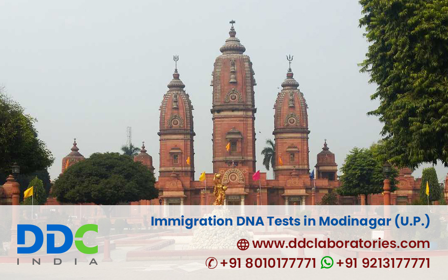 Immigration DNA Tests in Modinagar Uttar Pradesh