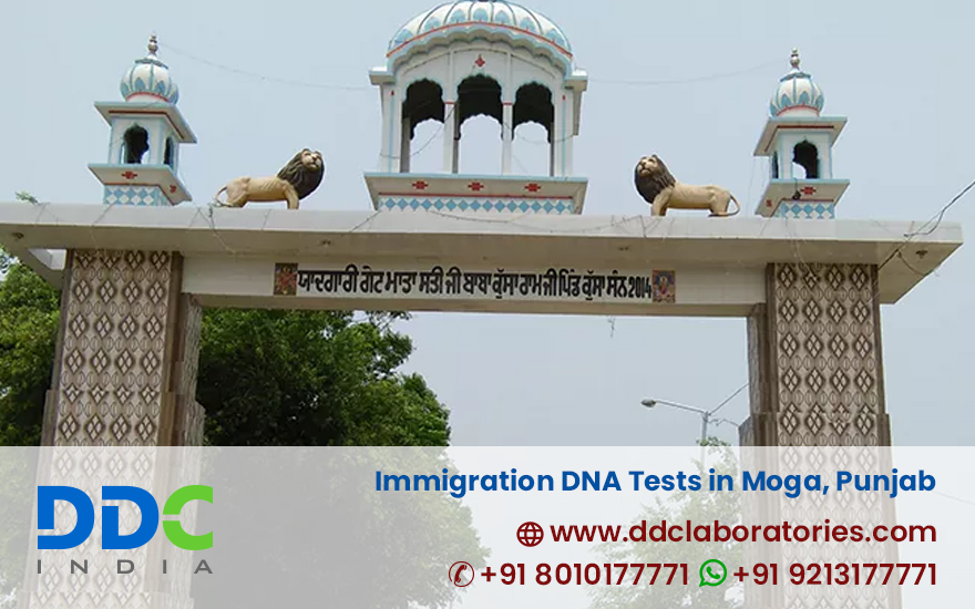 Immigration DNA Tests in Moga Punjab