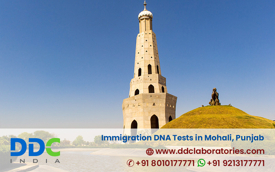 Immigration DNA Tests in Mohali Punjab