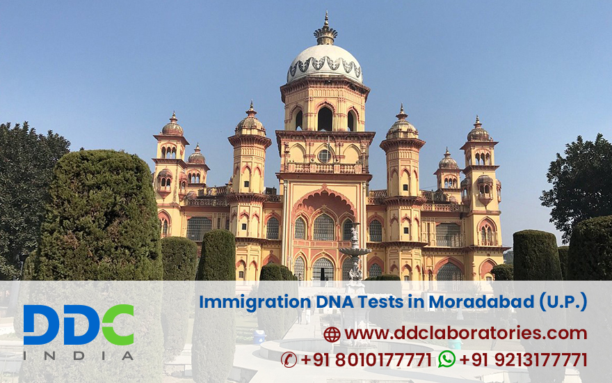 Immigration DNA Tests in Moradabad Uttar Pradesh