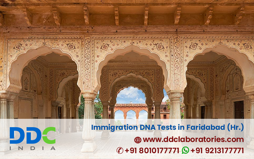 Immigration Dna Tests In Faridabad Haryana