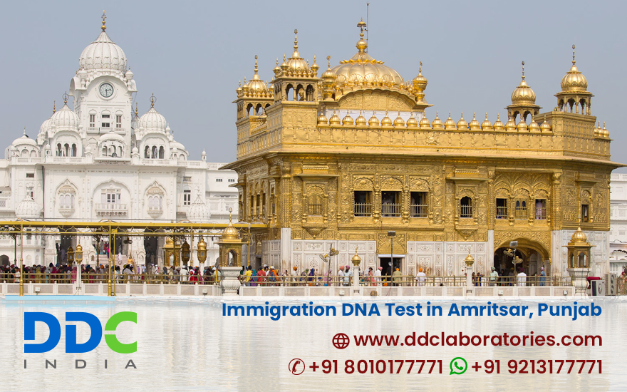 Immigration DNA Tests in Amritsar, Punjab