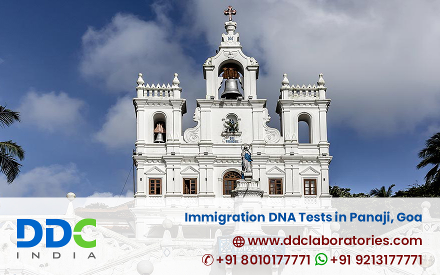 Immigration DNA Tests in Panaji, Goa
