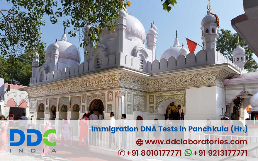 Immigration DNA Tests in Panchkula, Haryana
