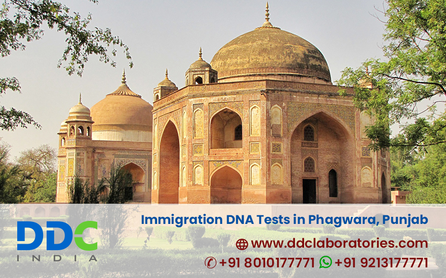 Immigration DNA Tests in Phagwara, Punjab