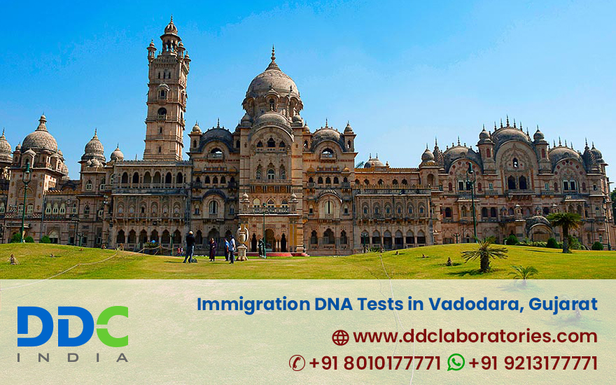 Immigration DNA Tests in Vadodara, Gujarat