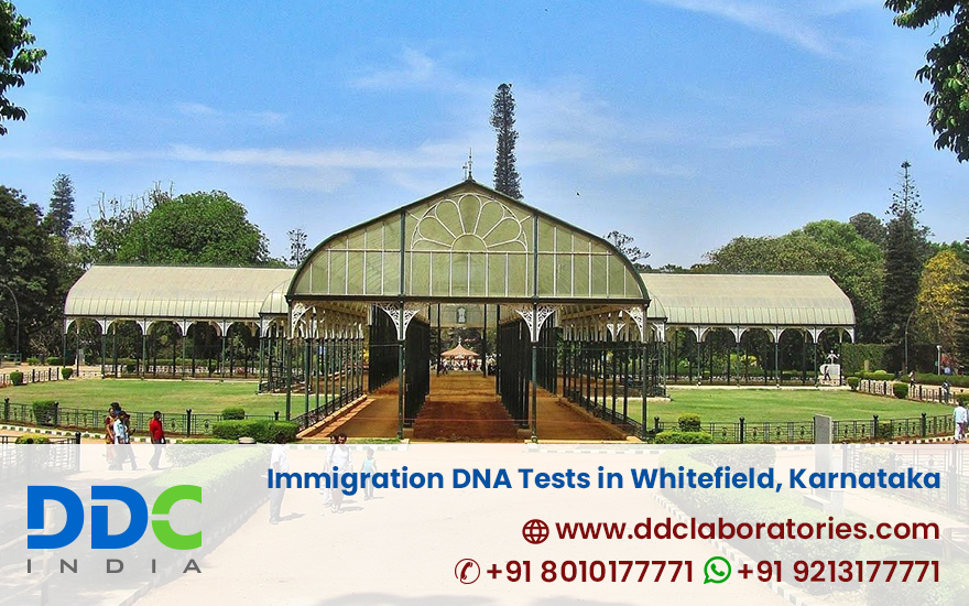Immigration DNA Tests in Whitefield, Karnataka