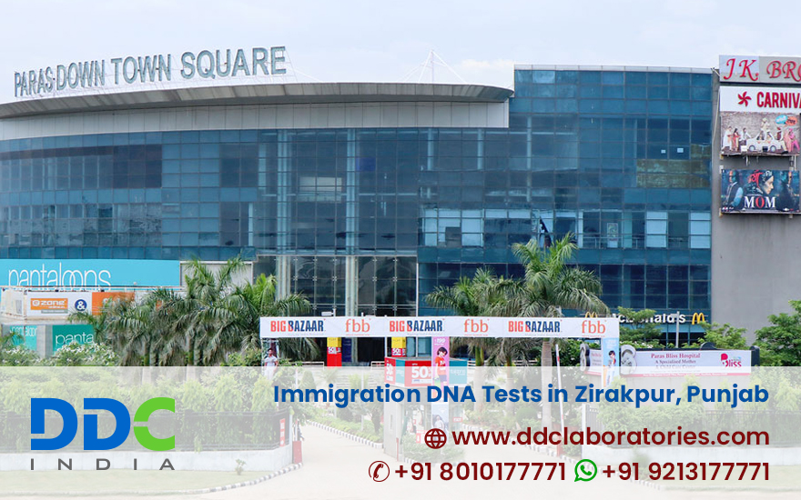 Immigration DNA Tests in Zirakpur, Punjab