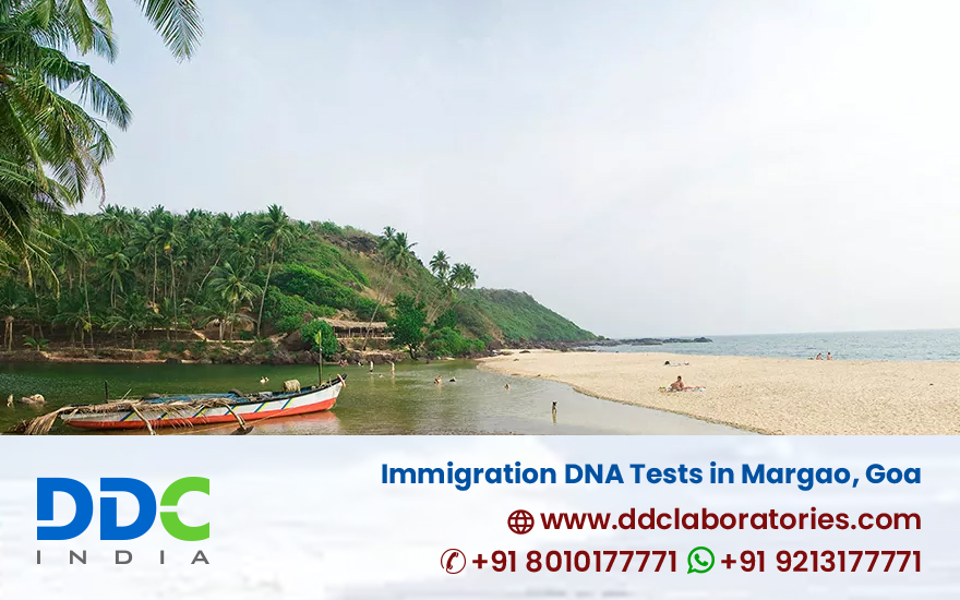 Immigration DNA Tests in Margao, Goa