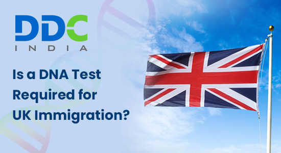 Is a DNA Test Required for Immigration UK?