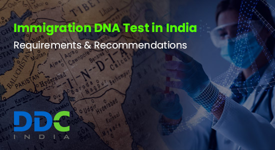 How Long Does a DNA Test Take in India?