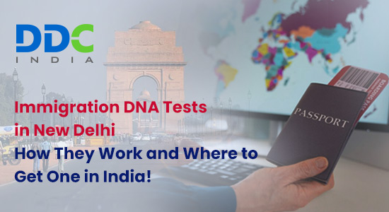 Accredited Immigration DNA Tests in New Delhi for the USA, UK & Other Countries