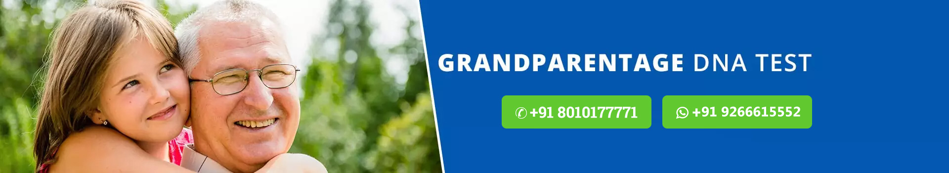 Grandparentage DNA test