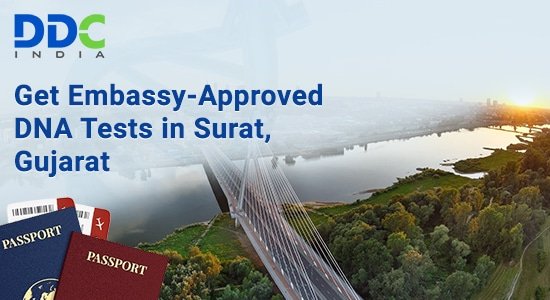 DNA Testing: Everything You Need to Know — Services, Processes & Uses